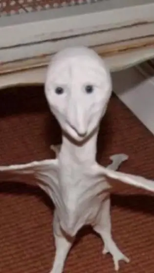 ai character: BAHLK: THE STORM background