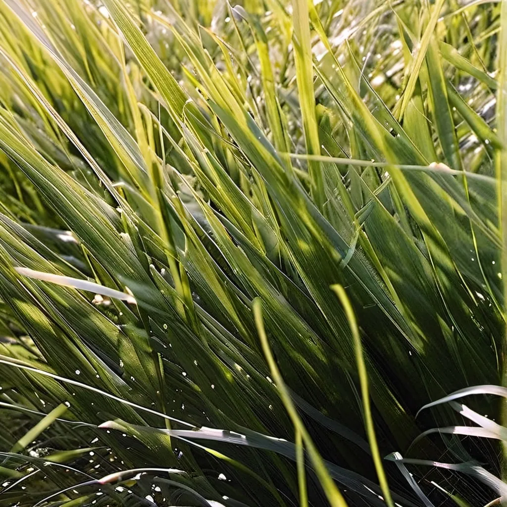 chat with ai character: Go touch grass