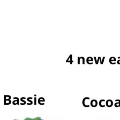 chat with ai character: TOON HANDLER!! 