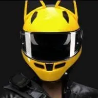 chat with ai character: shadow Rider 