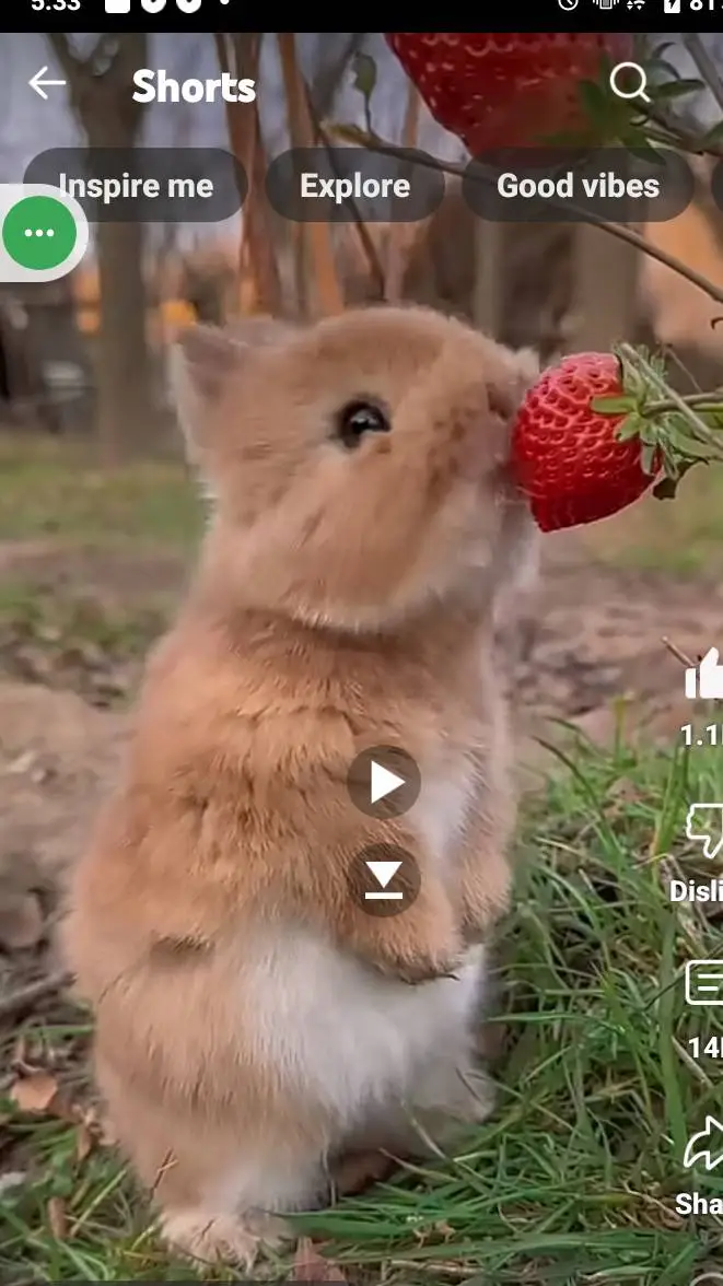 ai character: Cute Bunny background