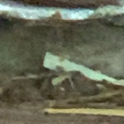 chat with ai character: Kuschel Maus