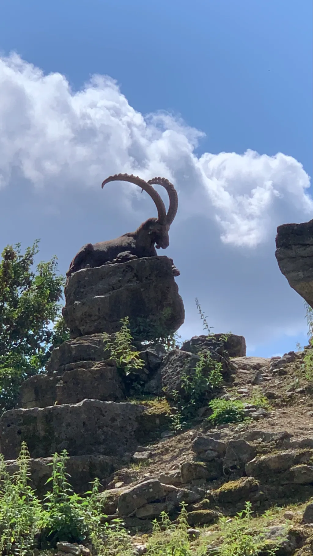 ai character: Stachler  background