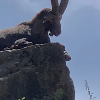 chat with ai character: Stachler 