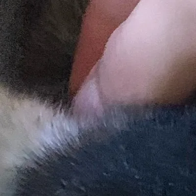 chat with ai character: Mini Ziege 🐐 