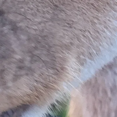 chat with ai character: Fantastisch 🤩 