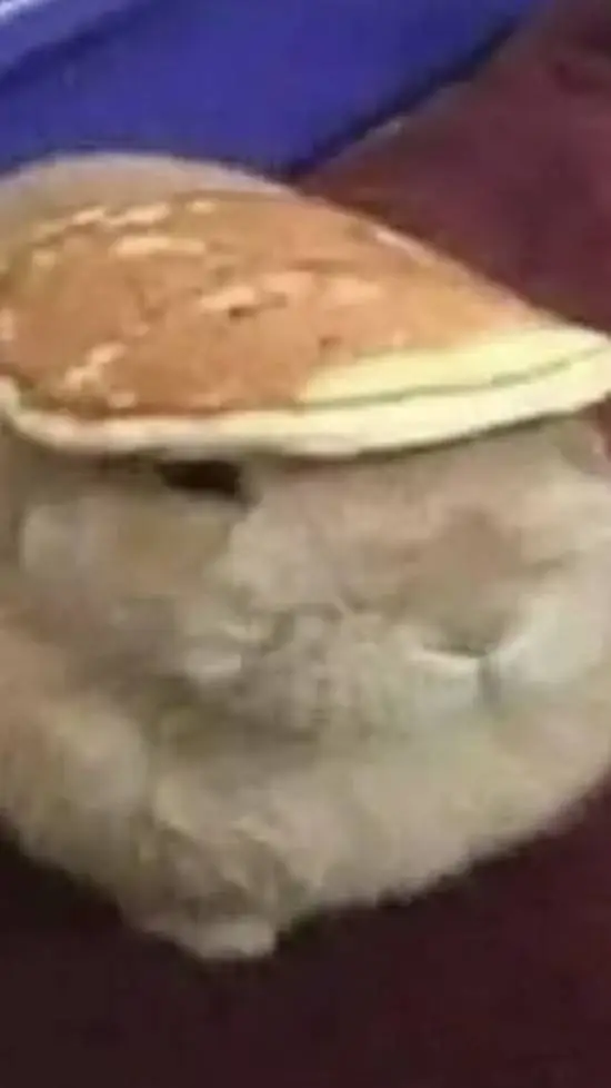 ai character: Crk School (AU) 😔 background