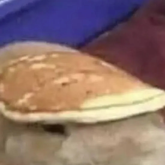 chat with ai character: Crk School (AU) 😔