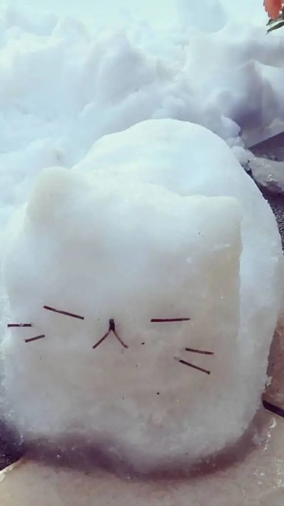 ai character: Past School background