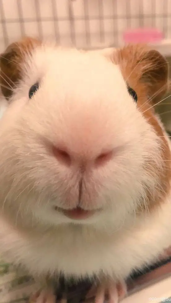 ai character: A Store  background