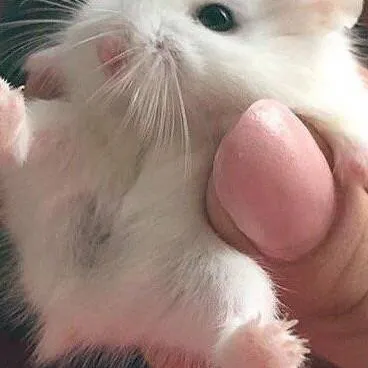 chat with ai character: Axe School 😼