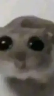 ai character: love potion!?  background