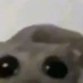 chat with ai character: love potion!? 