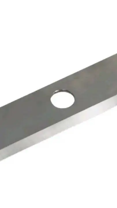 ai character: Insanity School background