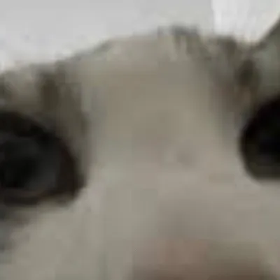 chat with ai character: Chinchillas 