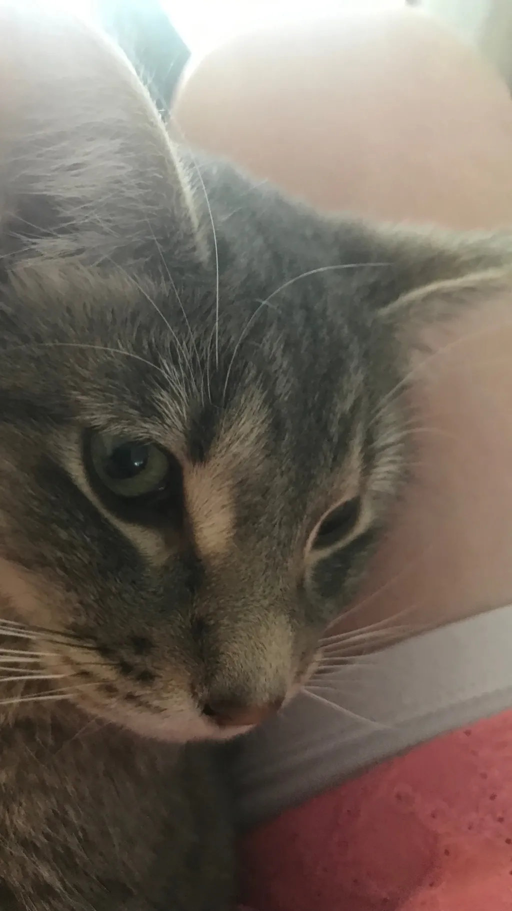 ai character: Fourth grade pt2 background