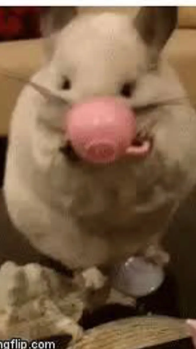 ai character: Chin background