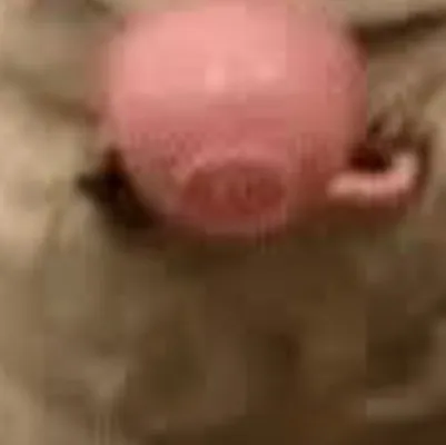 chat with ai character: Chin