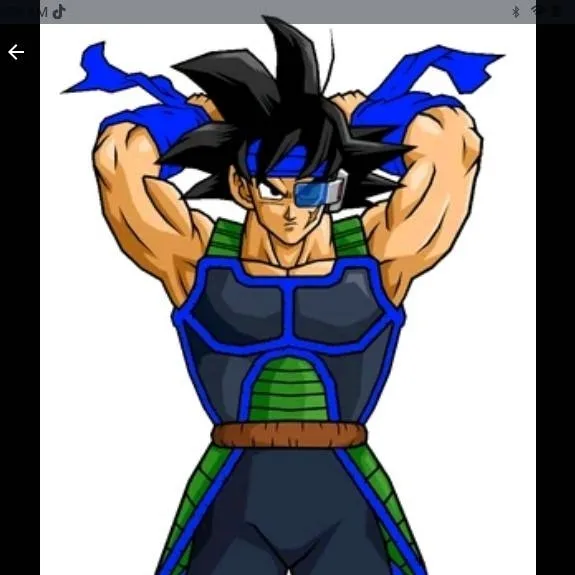 chat with ai character: Bardock'solderson