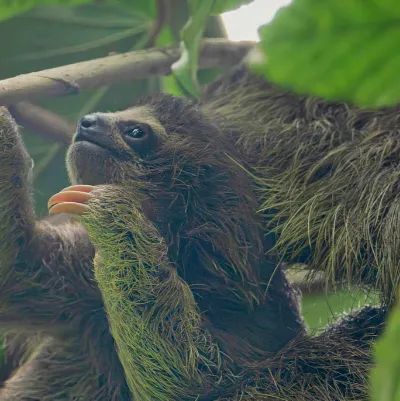 chat with ai character: Vani x Kyle 