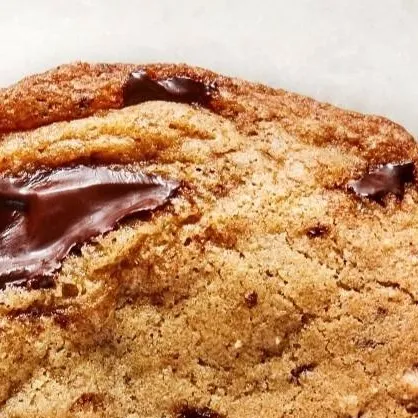 chat with ai character: cookie