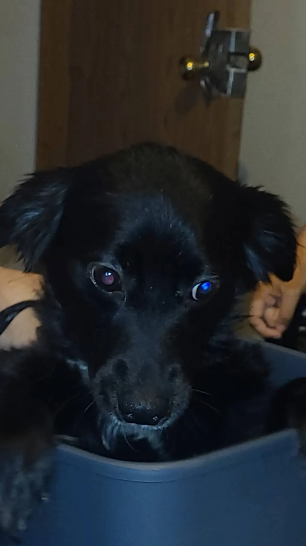 ai character: Forsaken 3! background