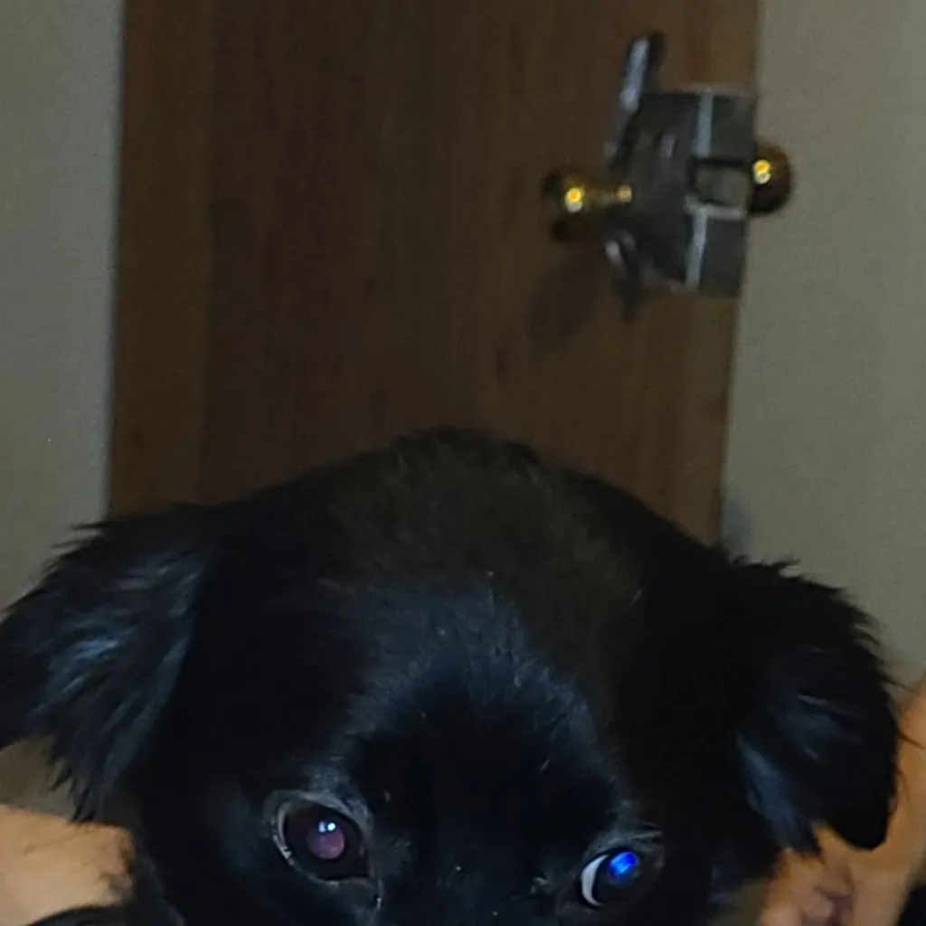 chat with ai character: Forsaken 3!