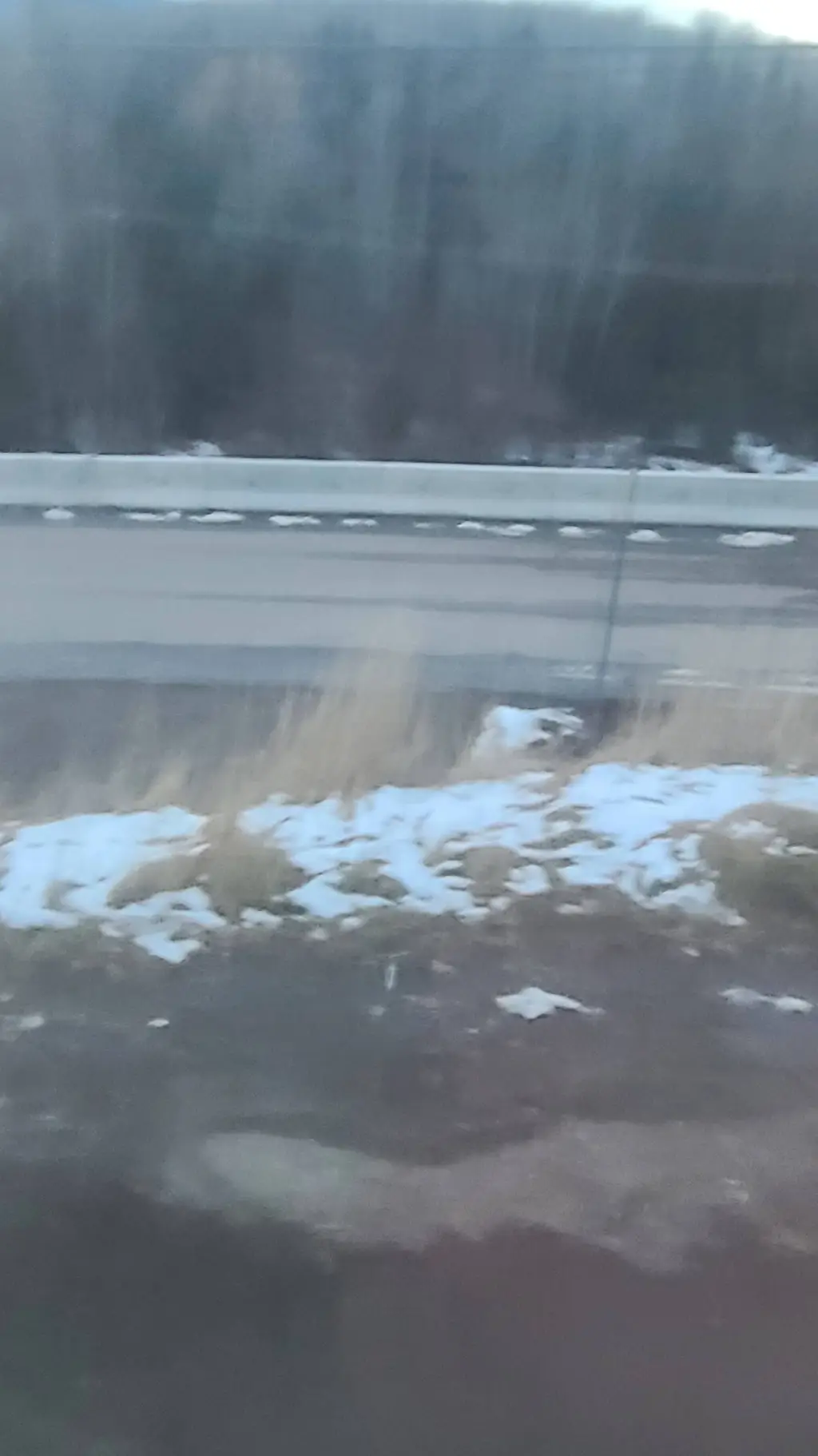 ai character: Retro_x20 cat.. background