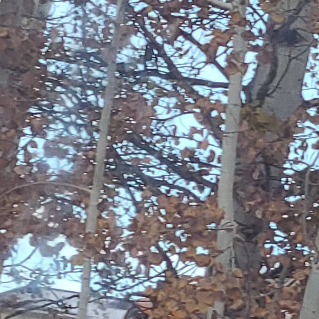 chat with ai character: Forsaken 