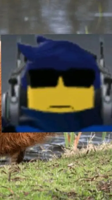 ai character: capybara zom boy  background