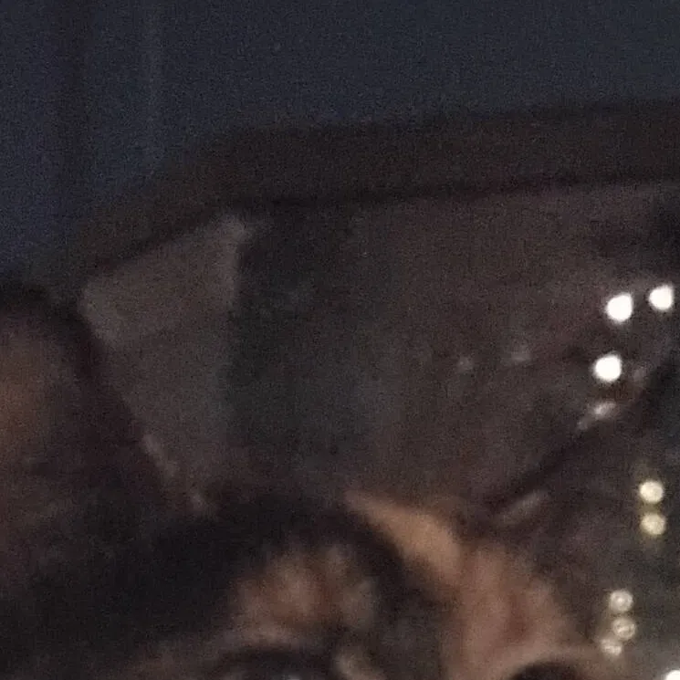 chat with ai character: My Cat