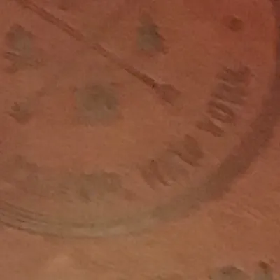 chat with ai character: Percy got poisoned