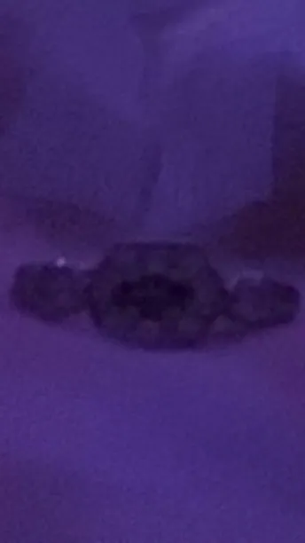 ai character: Survivors Club background