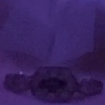 chat with ai character: Survivors Club