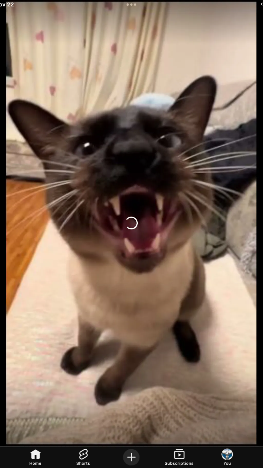 ai character: Solangelo child background