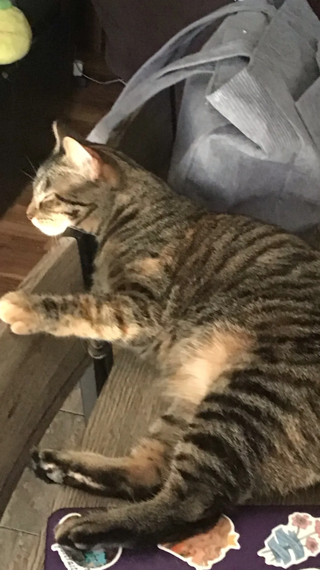 ai character: Kid Thomas S background