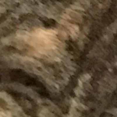 chat with ai character: Kid Thomas S