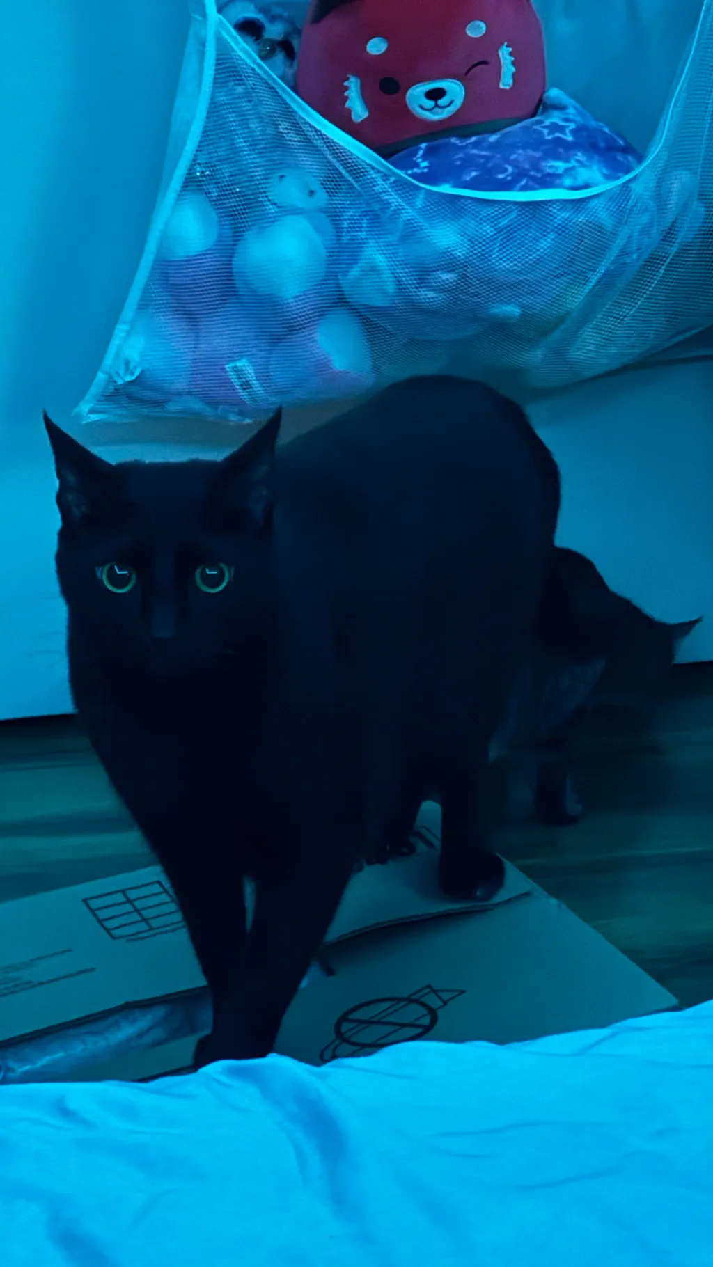 ai character: The Burning Maze background