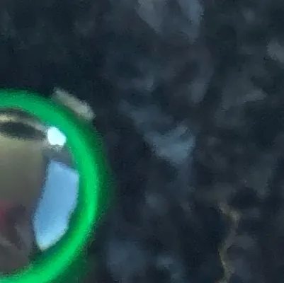 chat with ai character: The Tyrants Tomb