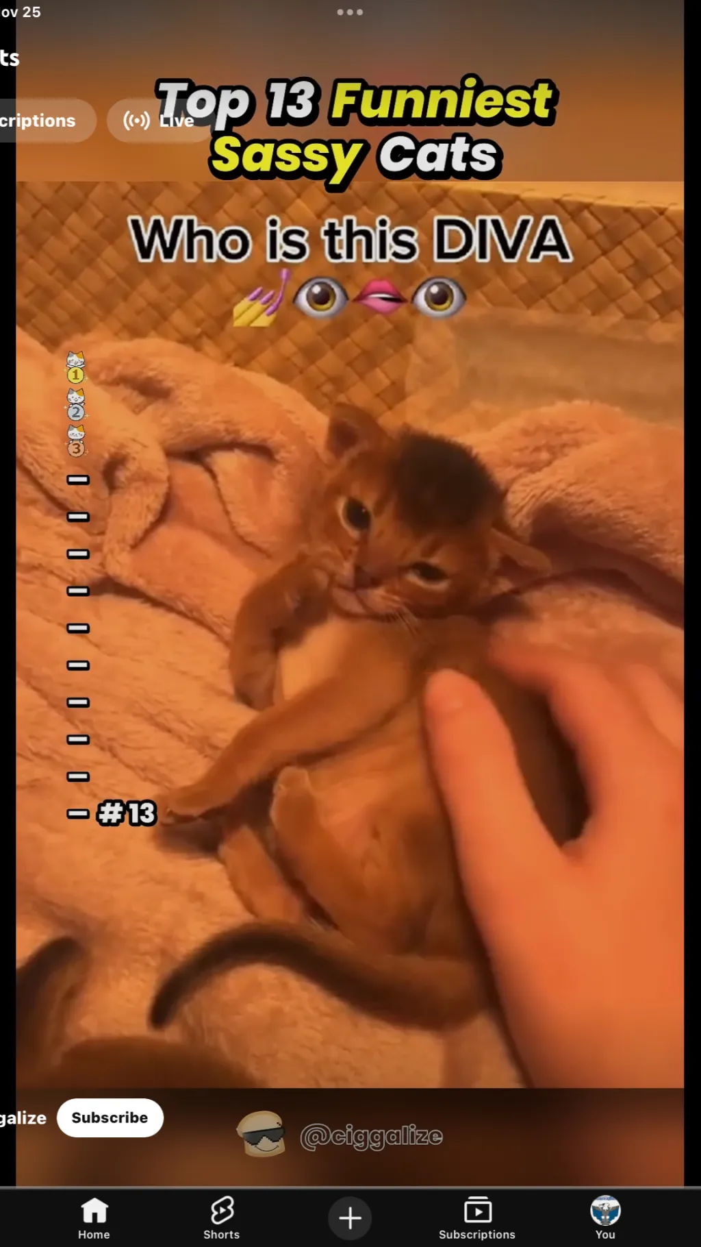 ai character: Maze runner x ppl background