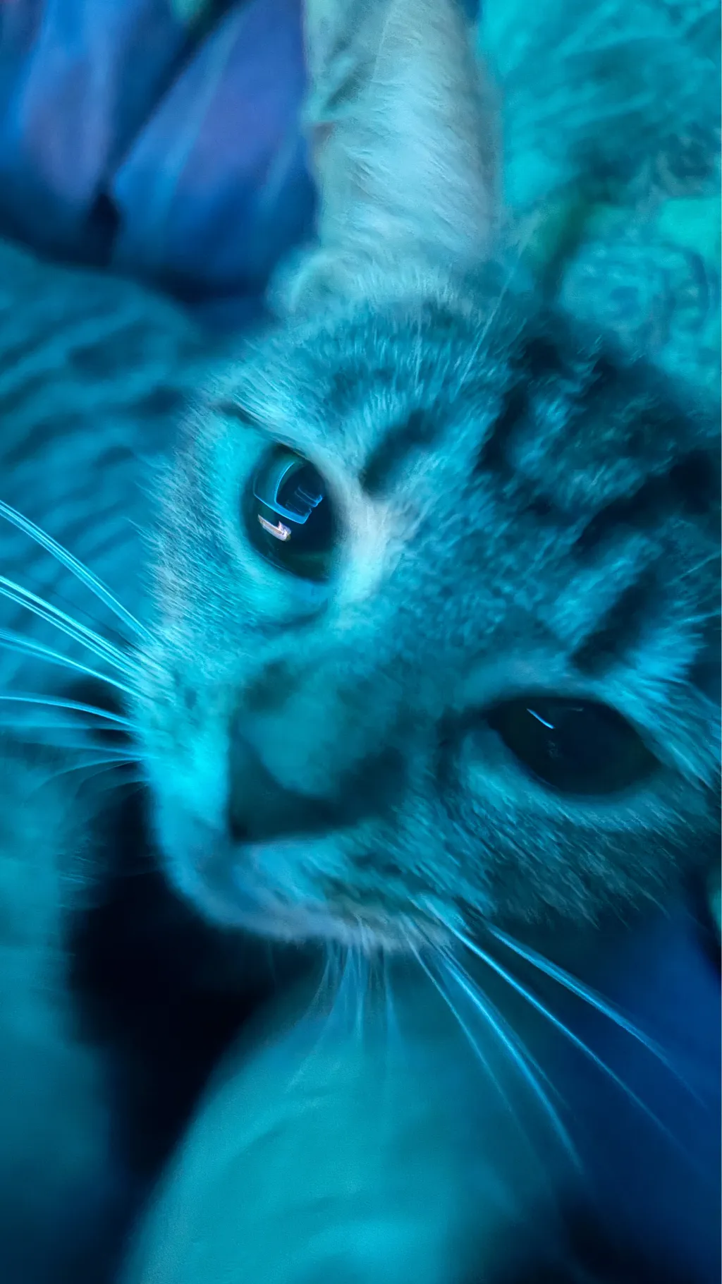 ai character: Bye and hello background