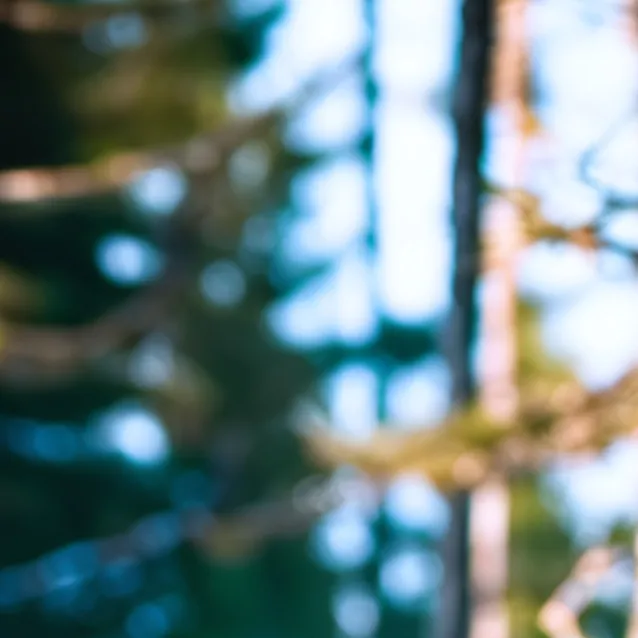 chat with ai character: hcotw