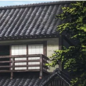 chat with ai character: Kny