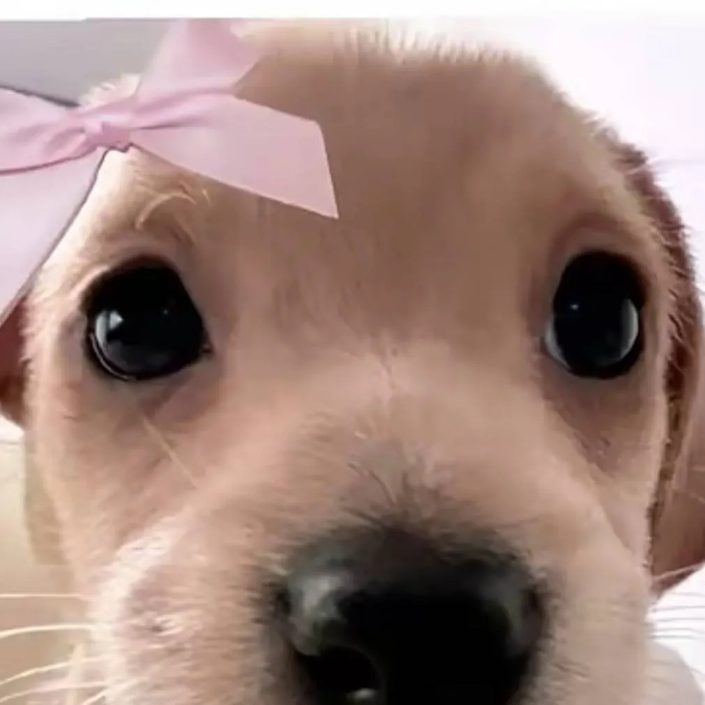 chat with ai character: puppyhh