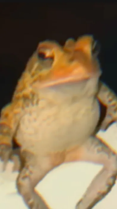 ai character: Toad background