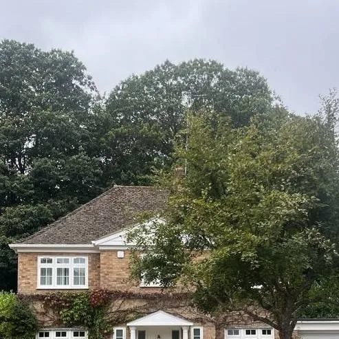 chat with ai character: house fam rp!