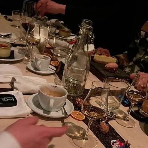 chat with ai character: dinner party~