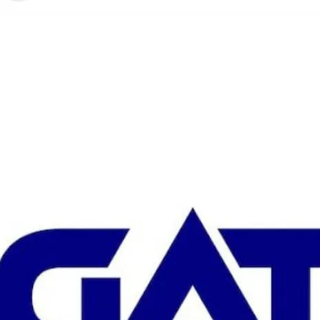 chat with ai character: GAT