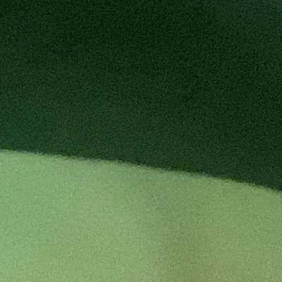 chat with ai character: Allosaurus