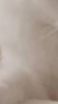 ai character: normal(not) background